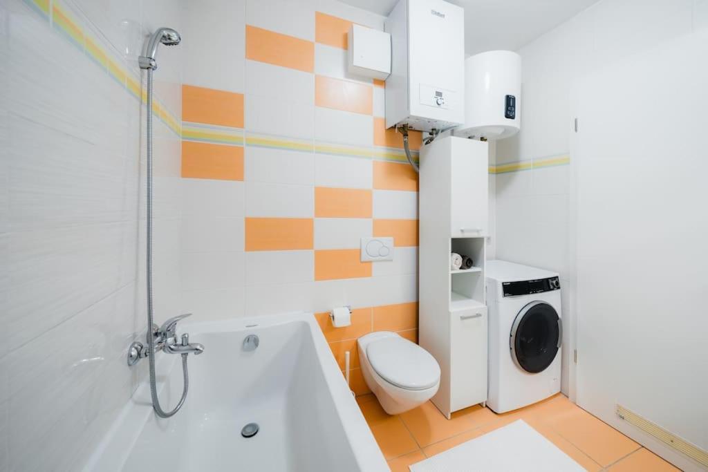 Cosy Apartment Divaca
